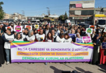 Abdullah Öcalan’ın misyonunu yerine getirmesi için koşulları sağlanmalı